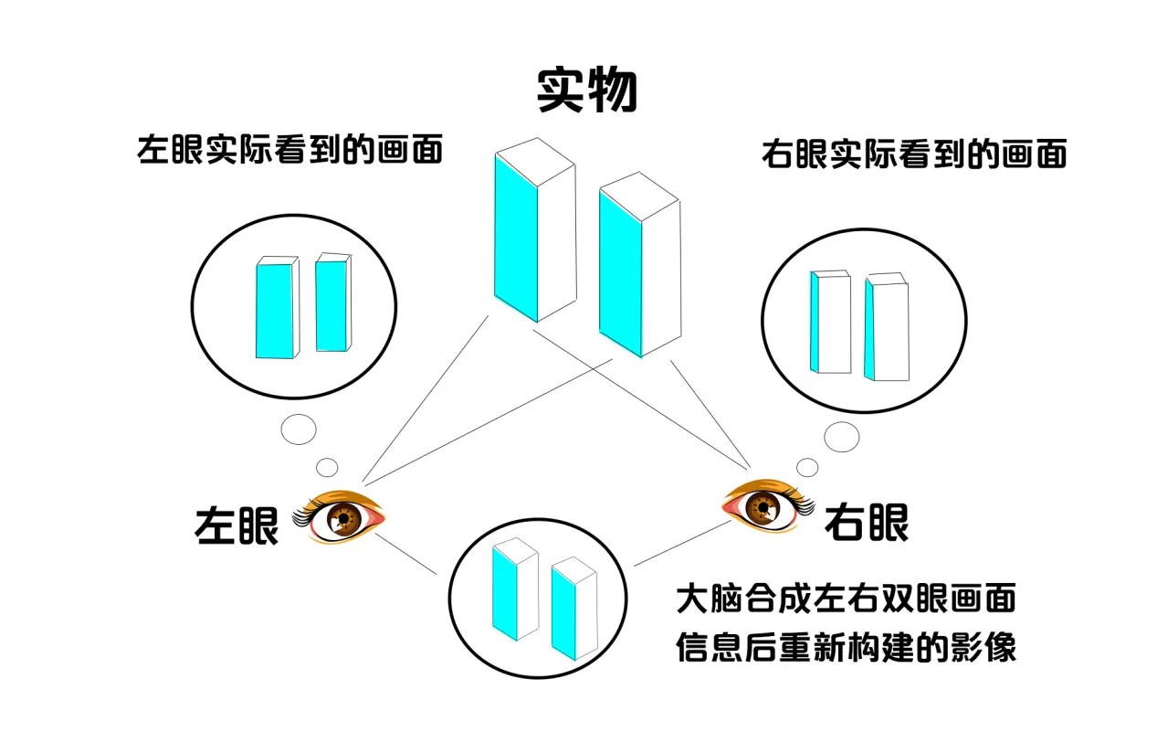 双眼视觉融合 图片来源 搜狐号 778953946_100268065